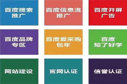 不同预算下的百度推广：案例分析与费用解析